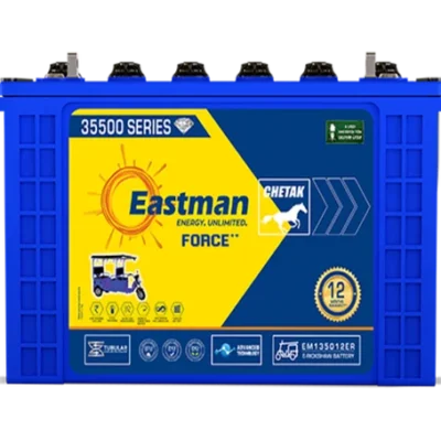 Eastman E-Rickshaw 130AH Battery